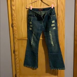 HTJ  jeans NWOT
